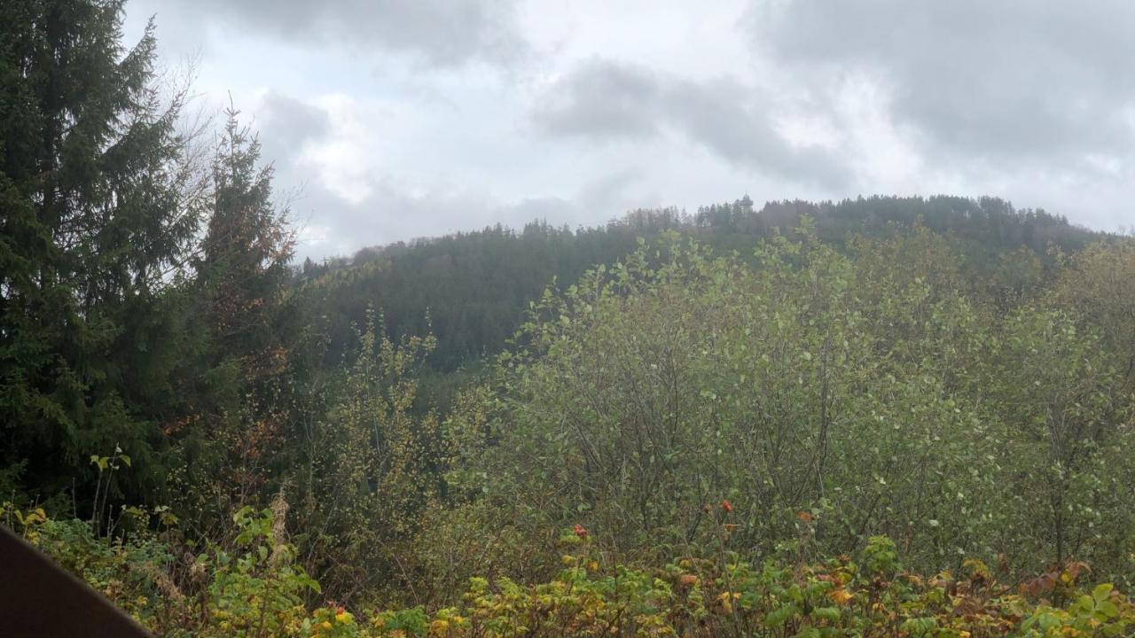 Fewo Berg Idyllika Willingen  Exterior photo