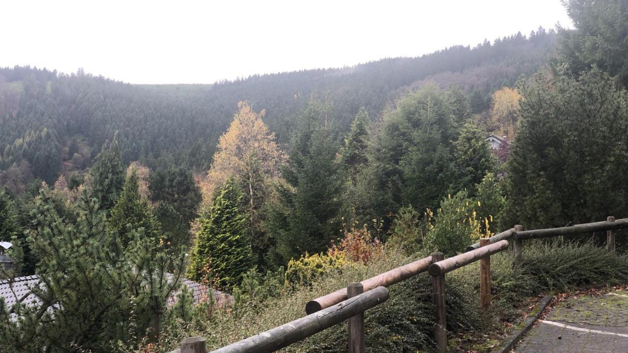Fewo Berg Idyllika Willingen  Exterior photo