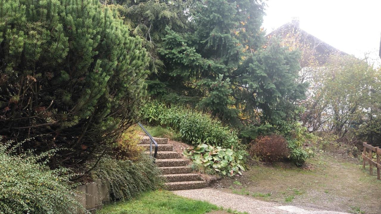 Fewo Berg Idyllika Willingen  Exterior photo