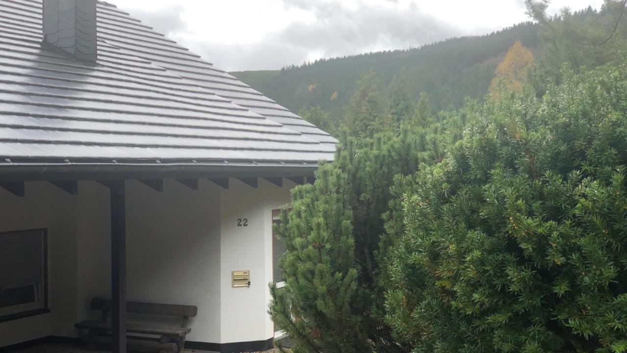 Fewo Berg Idyllika Willingen  Exterior photo